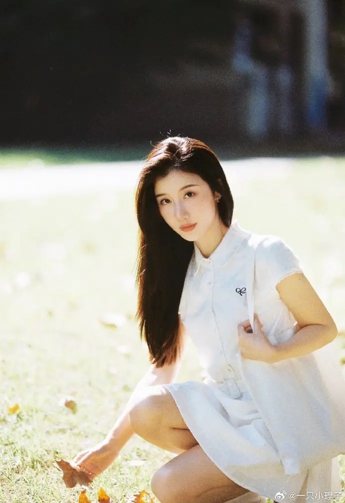 中央气象台预报界面